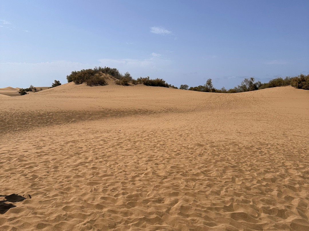Kiosco Beach No 7-马斯帕洛马斯必去景点