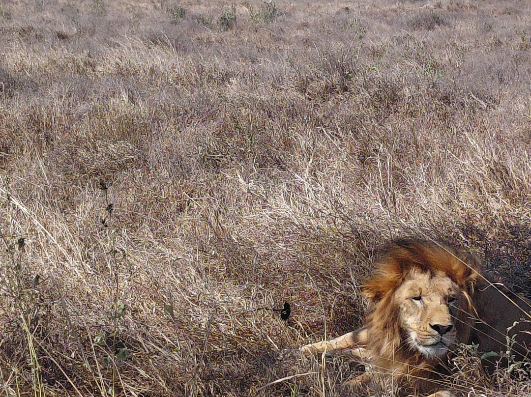 Taita Hills Wildlife Sanctuary-西察沃国家公园必去景点
