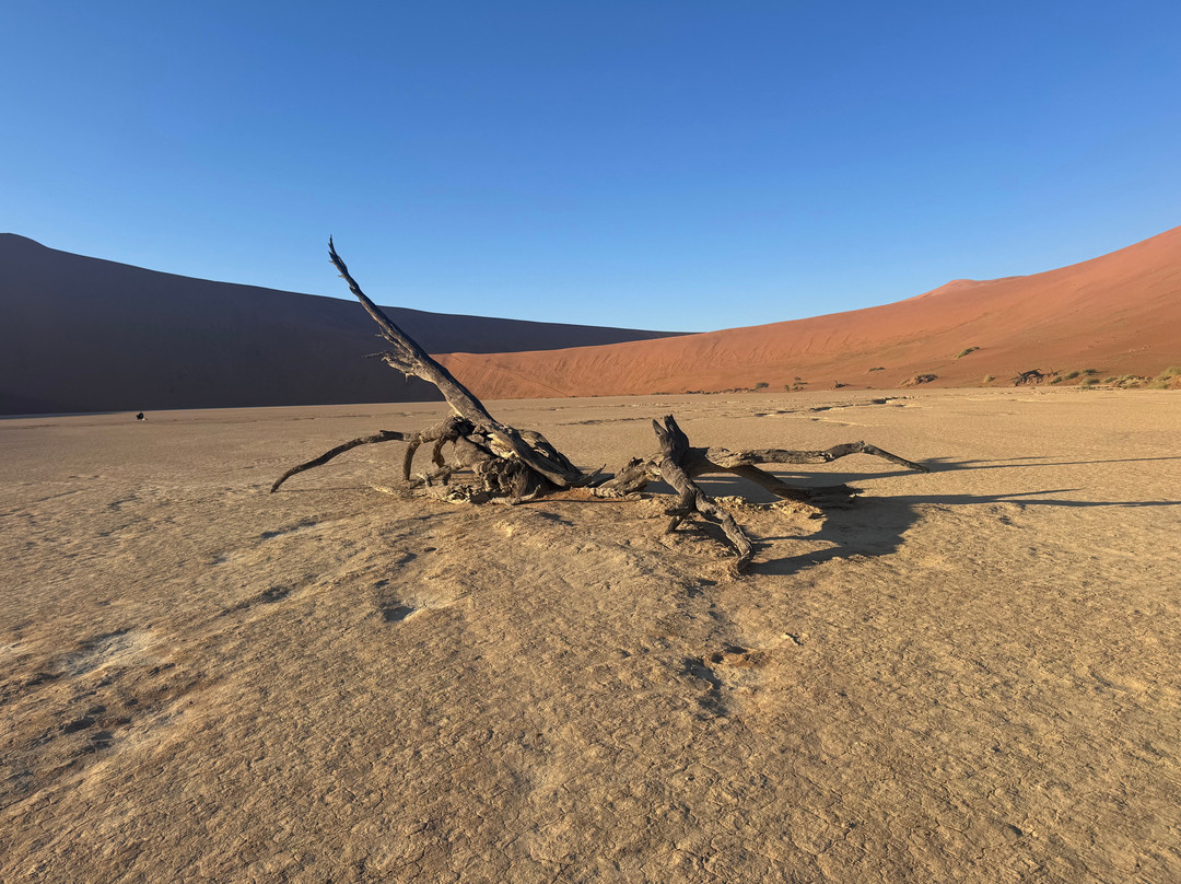 Deadvlei-苏丝斯黎必去景点