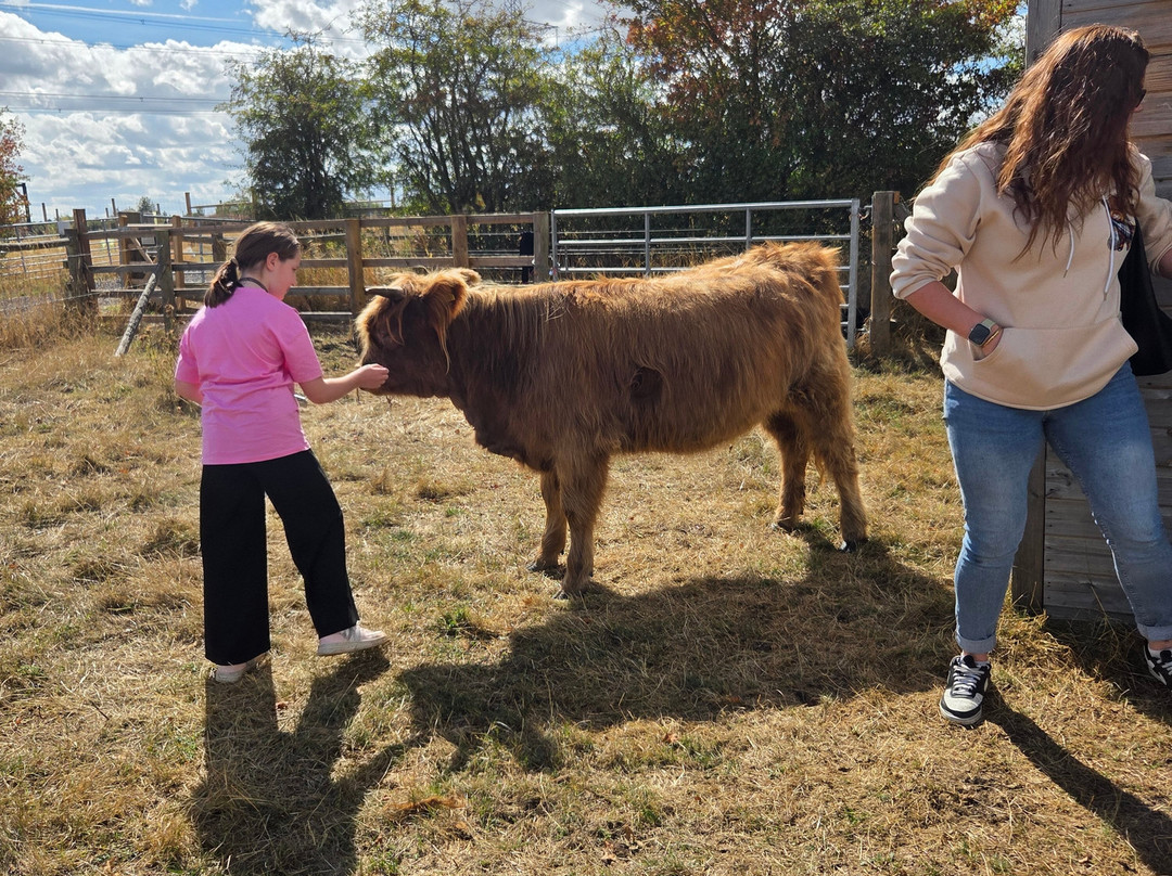 Hogshaw Farm & Wildlife Park-Hogshaw必去景点
