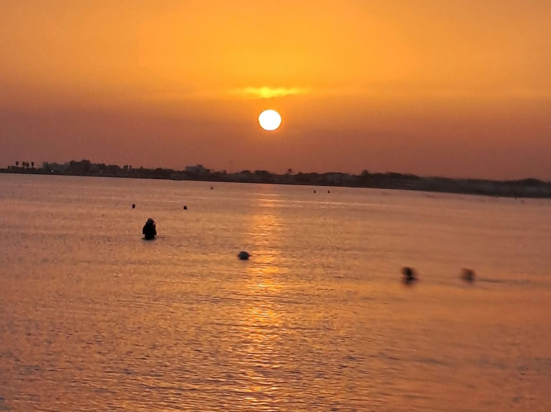 Lido Bacino Grande主图