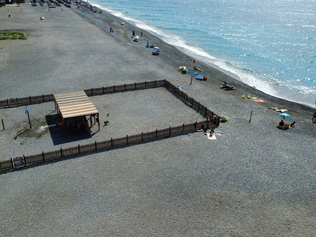 Spiaggia dei Cani-博尔迪盖拉必去景点