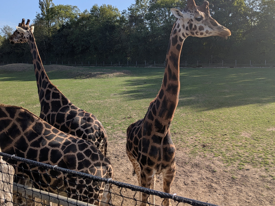 Parc Zoologique Cerza-Hermival-les-Vaux必去景点