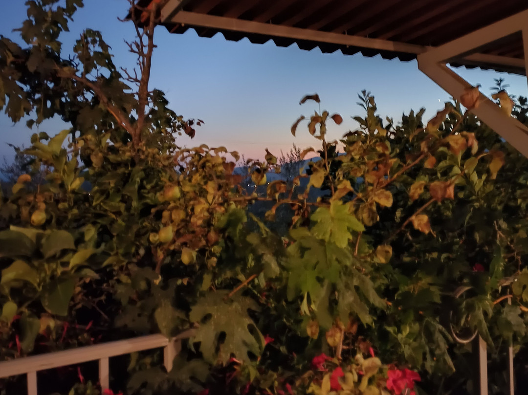 L'Oasi del Rossese主图