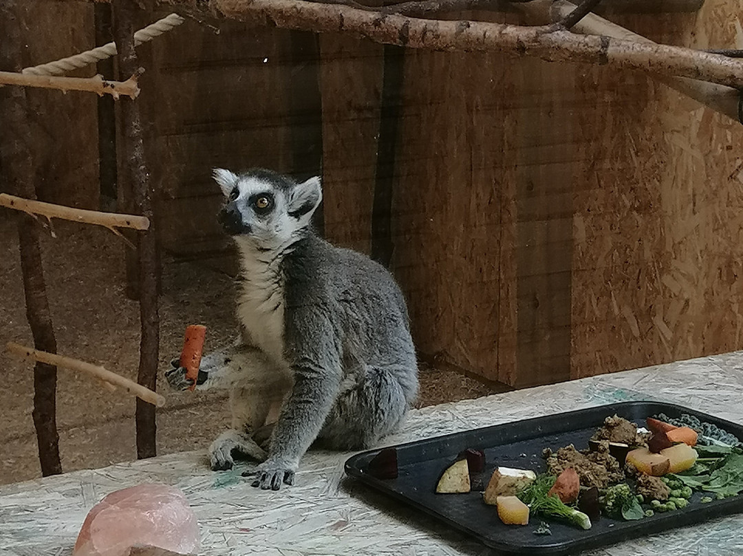 The Meadows Wildlife Park-卡菲利必去景点