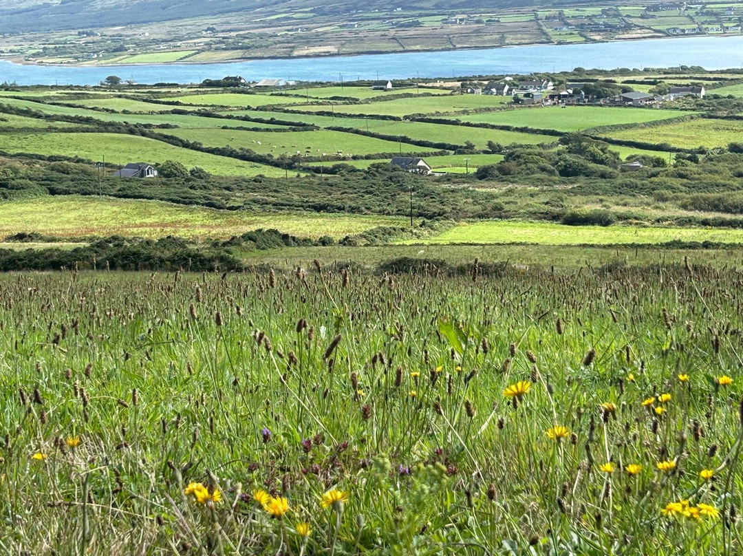 Joyce's Ireland Hiking Tours-Roundwood必去景点