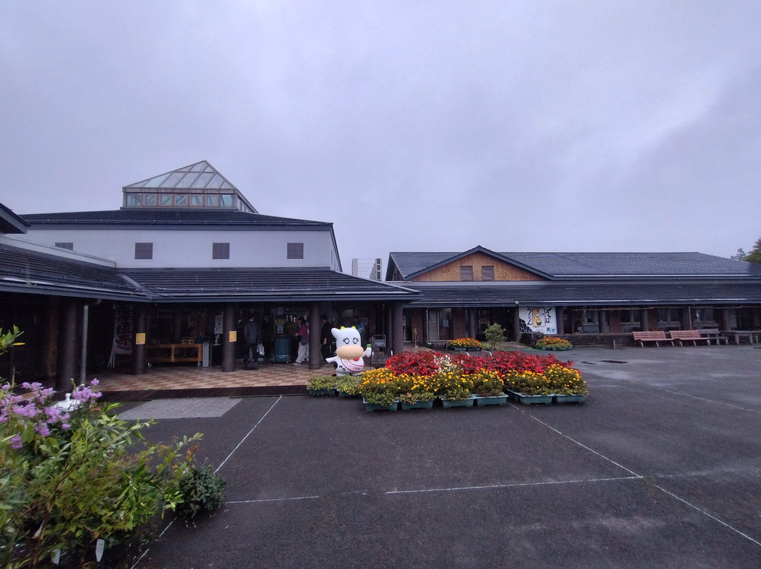 Yonoka Shiobara Michi-no-Eki-那须盐原市必去景点