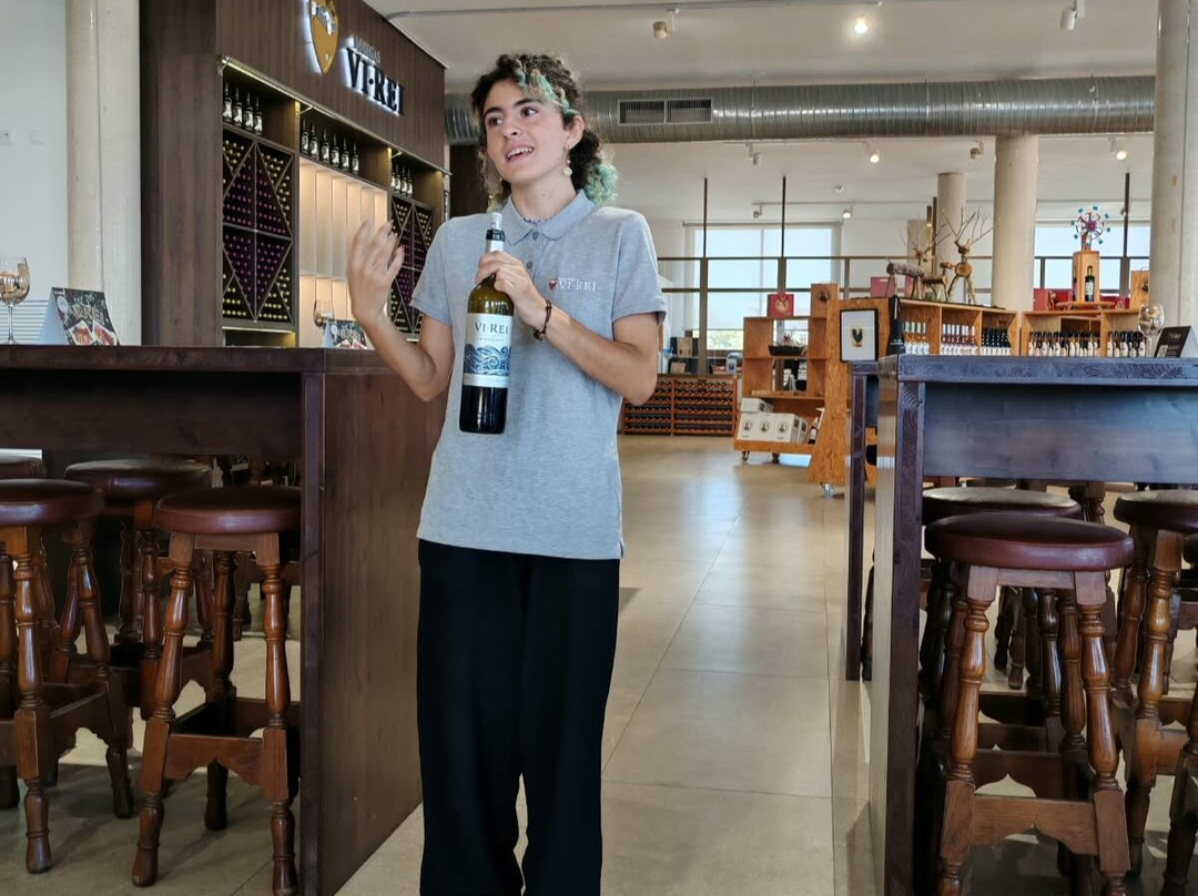 Bodegas Vi Rei-柳奇马约尔必去景点