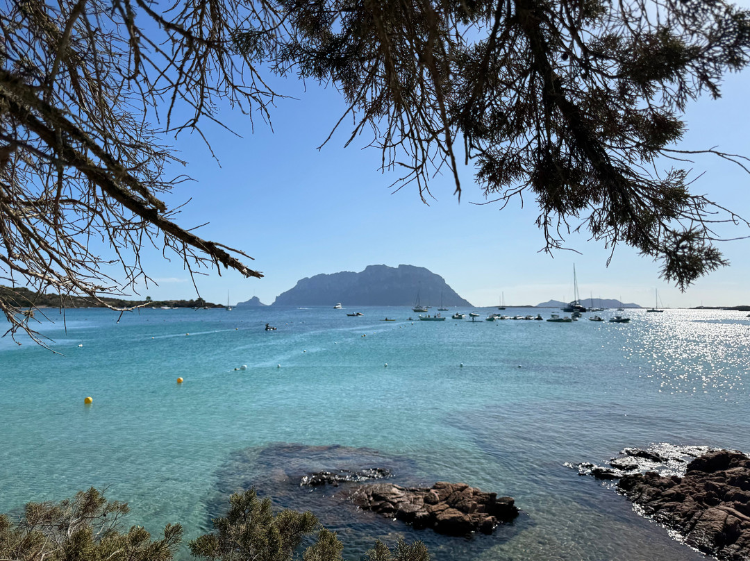 Spiaggia Sas Enas Appara-Porto Istana必去景点
