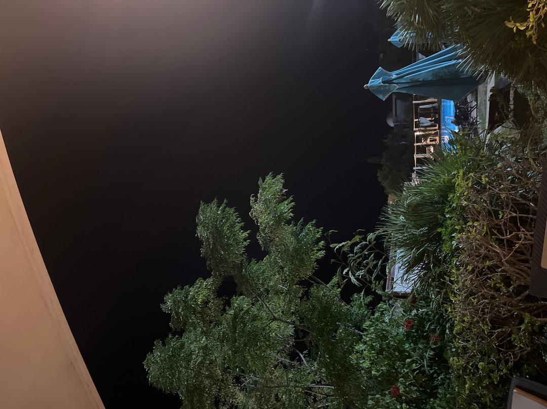 TMK Flora Park 由Turismark提供主图