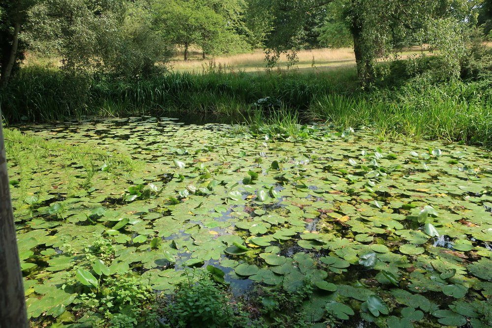 Woburn Abbey and Gardens-Woburn必去景点