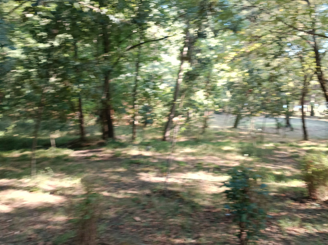 Grand Park (Parku i Madh)-地拉那必去景点