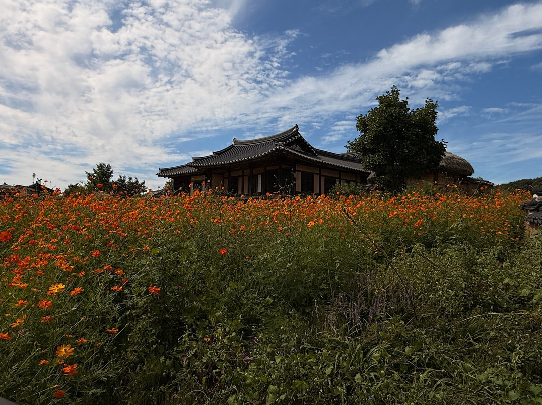 Andong Hahoe Folk Village-安东市必去景点