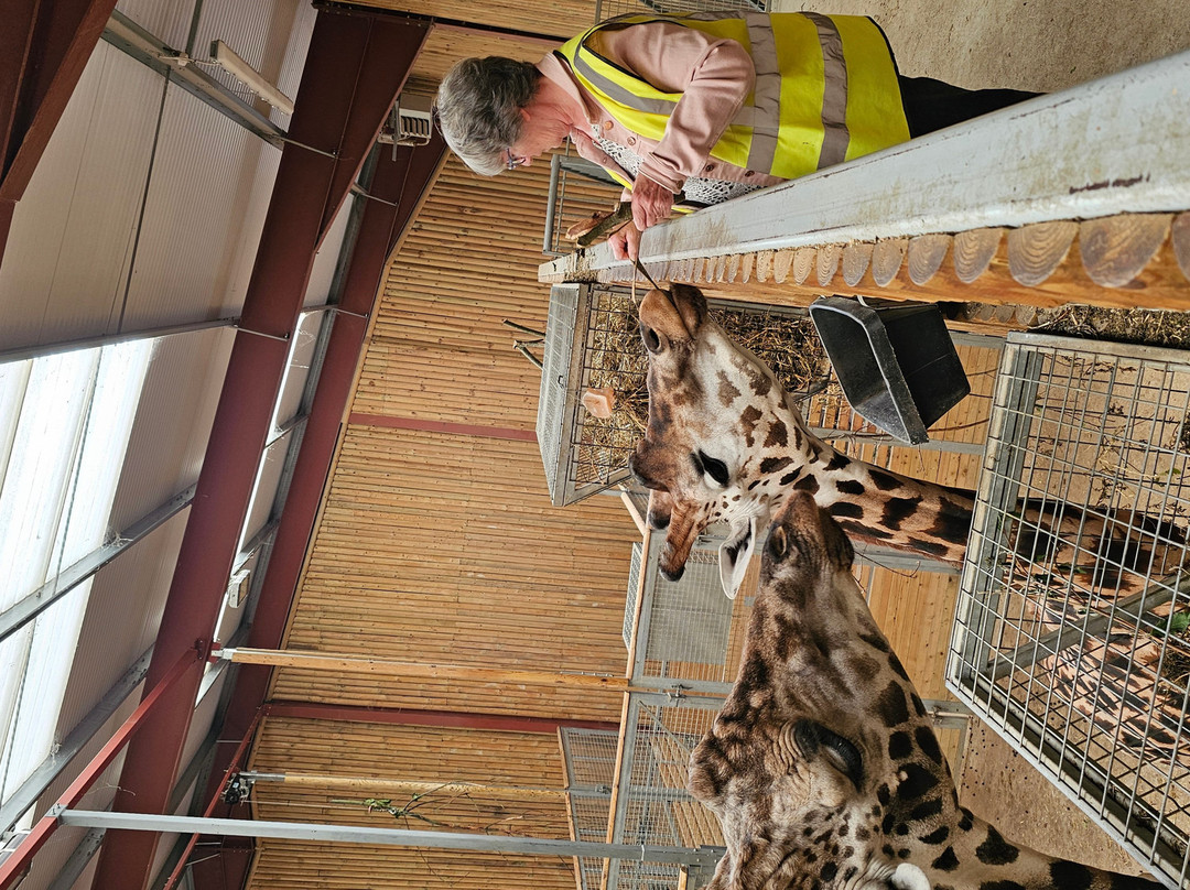 Wingham Wildlife Park-Wingham必去景点