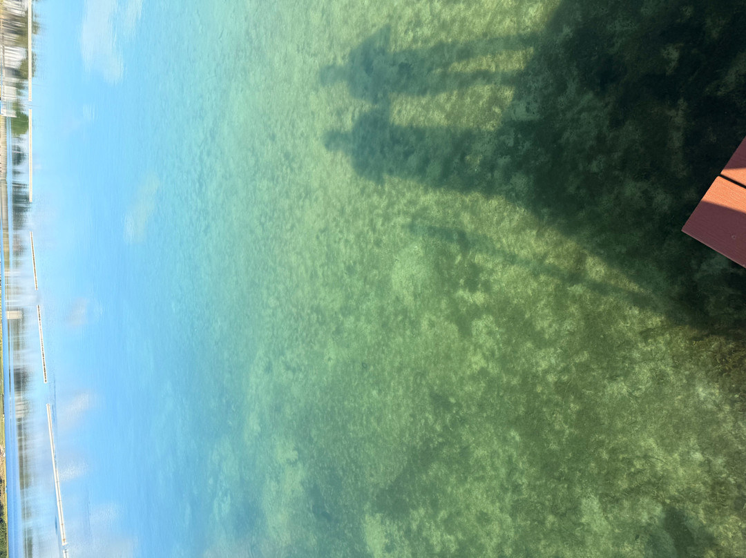 Keys Huka Dive-Nokomis必去景点