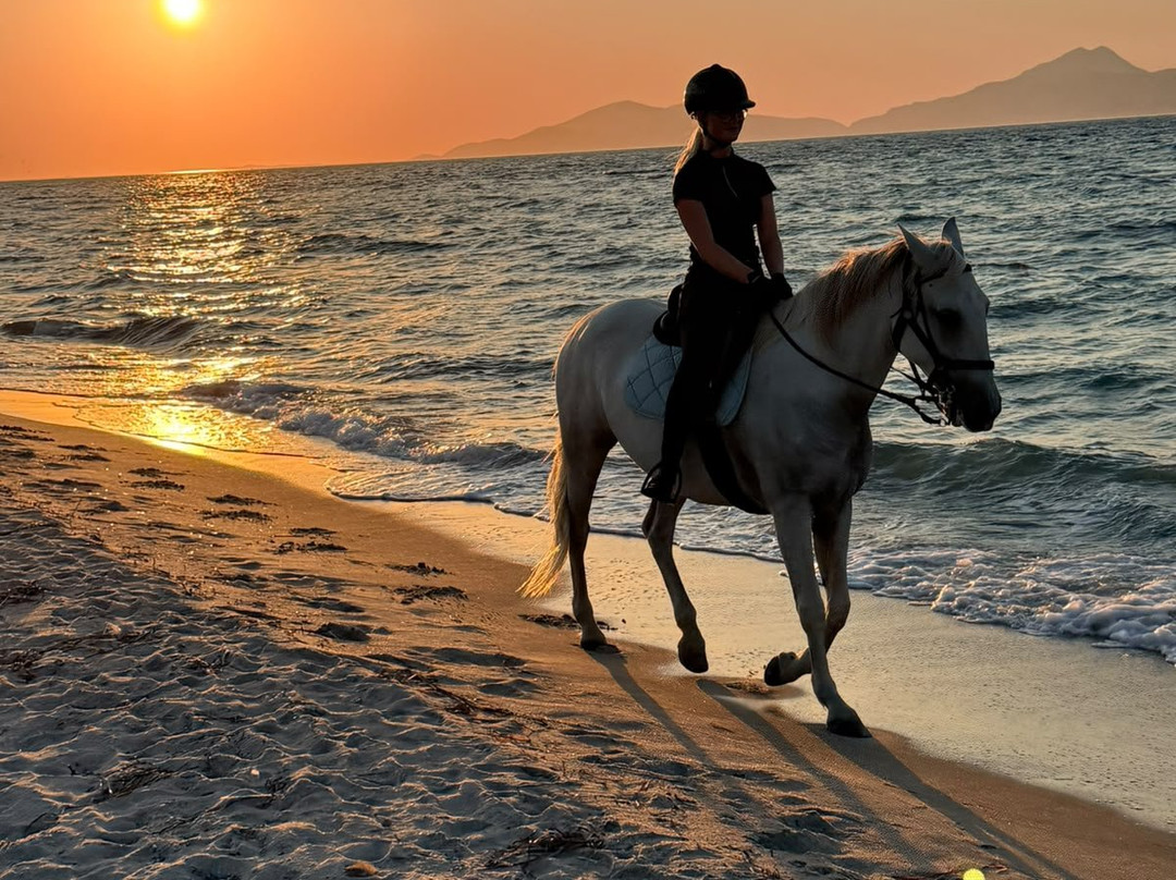 Erika's Horse Farm Kos-Marmari必去景点