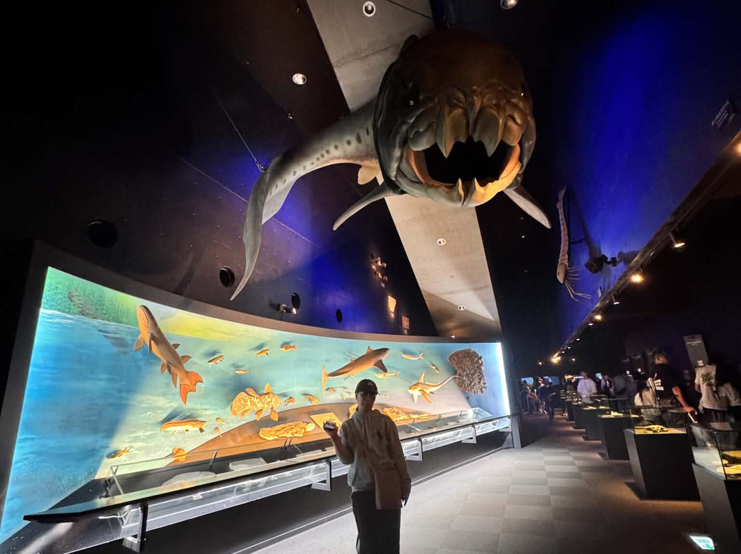福岛水族馆-盘城市必去景点