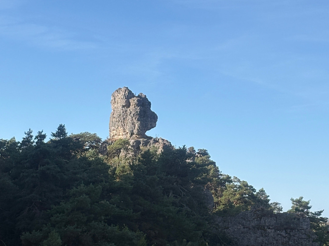 La Cité de Pierres - Montpellier-le-Vieux-米约必去景点