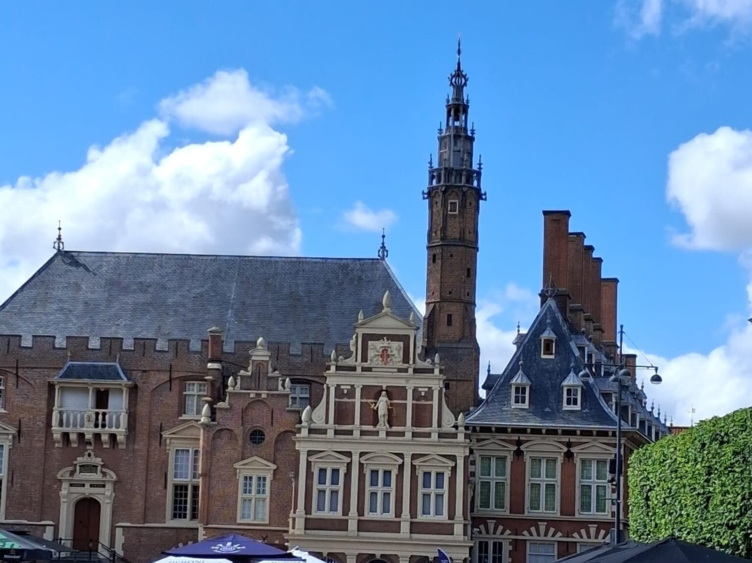 Stadhuis Haarlem-哈勒姆必去景点
