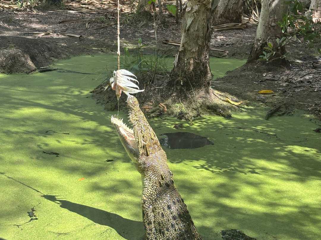 Hartley's Crocodile Adventures-Wangetti必去景点