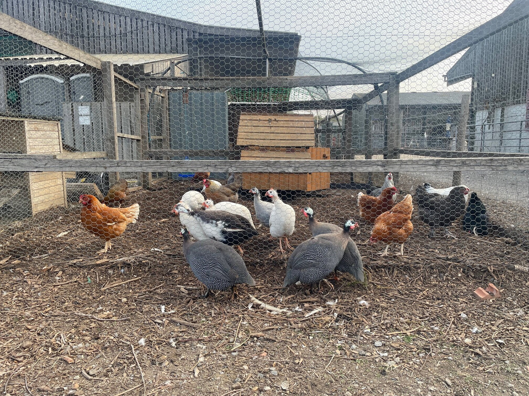 Roundoak Farm-Sutton Valence必去景点