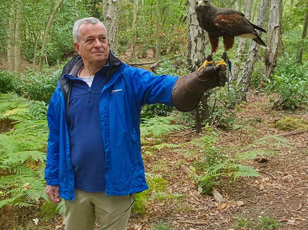 East Sussex Falconry-Herstmonceux必去景点