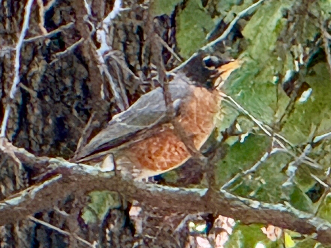Martin Park Nature Center-俄克拉何马城必去景点