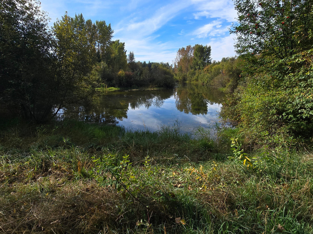 River's Edge Park-Columbia Falls必去景点