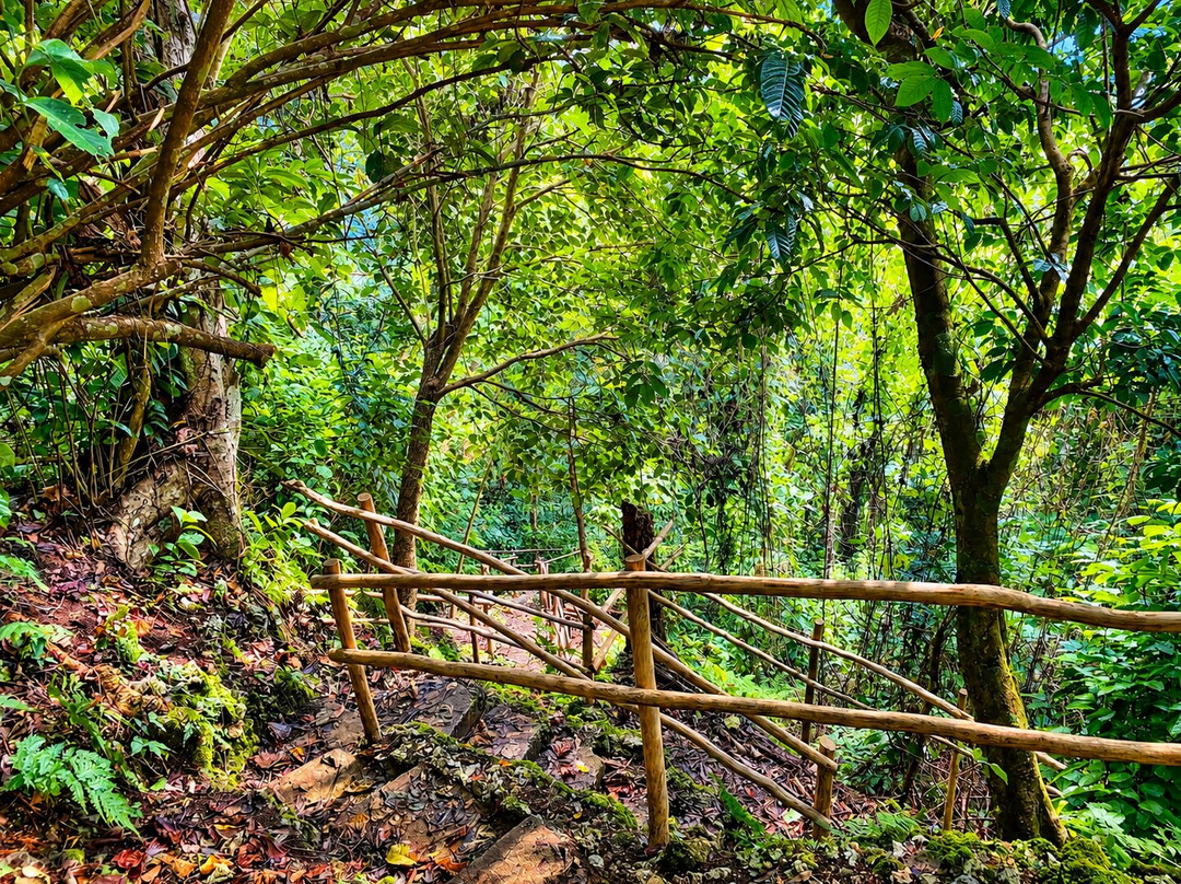 Freshwater Plantation Tour-Aore Island必去景点