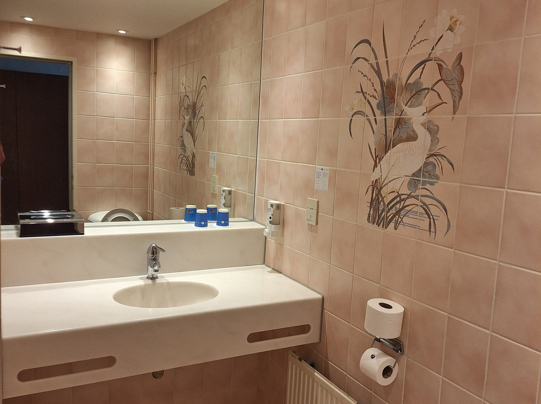 Zwartewaal酒店住宿-Fletcher Hotel-Restaurant De Zalm