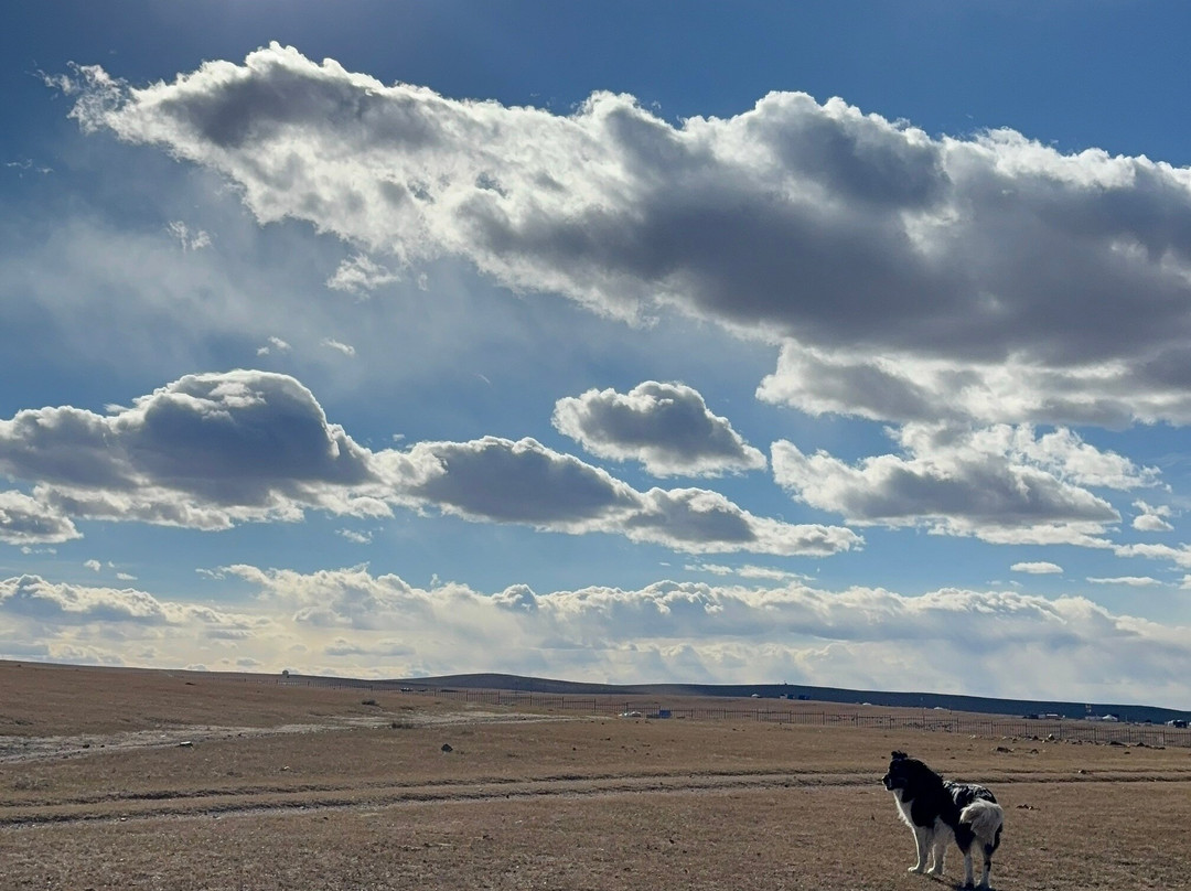 Discover Mongolia Travel-乌兰巴托必去景点