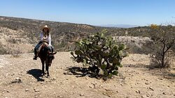 Leisurely Country Horseback Riding-圣米格尔护城必去景点