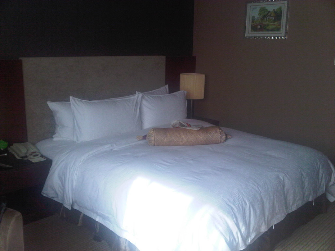 君宜王朝大饭店主图