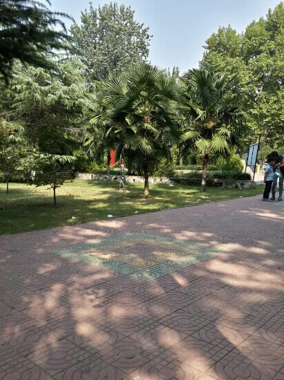 漯河人民公园景点图片