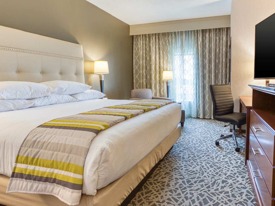Drury Plaza Hotel Dallas Richardson主图