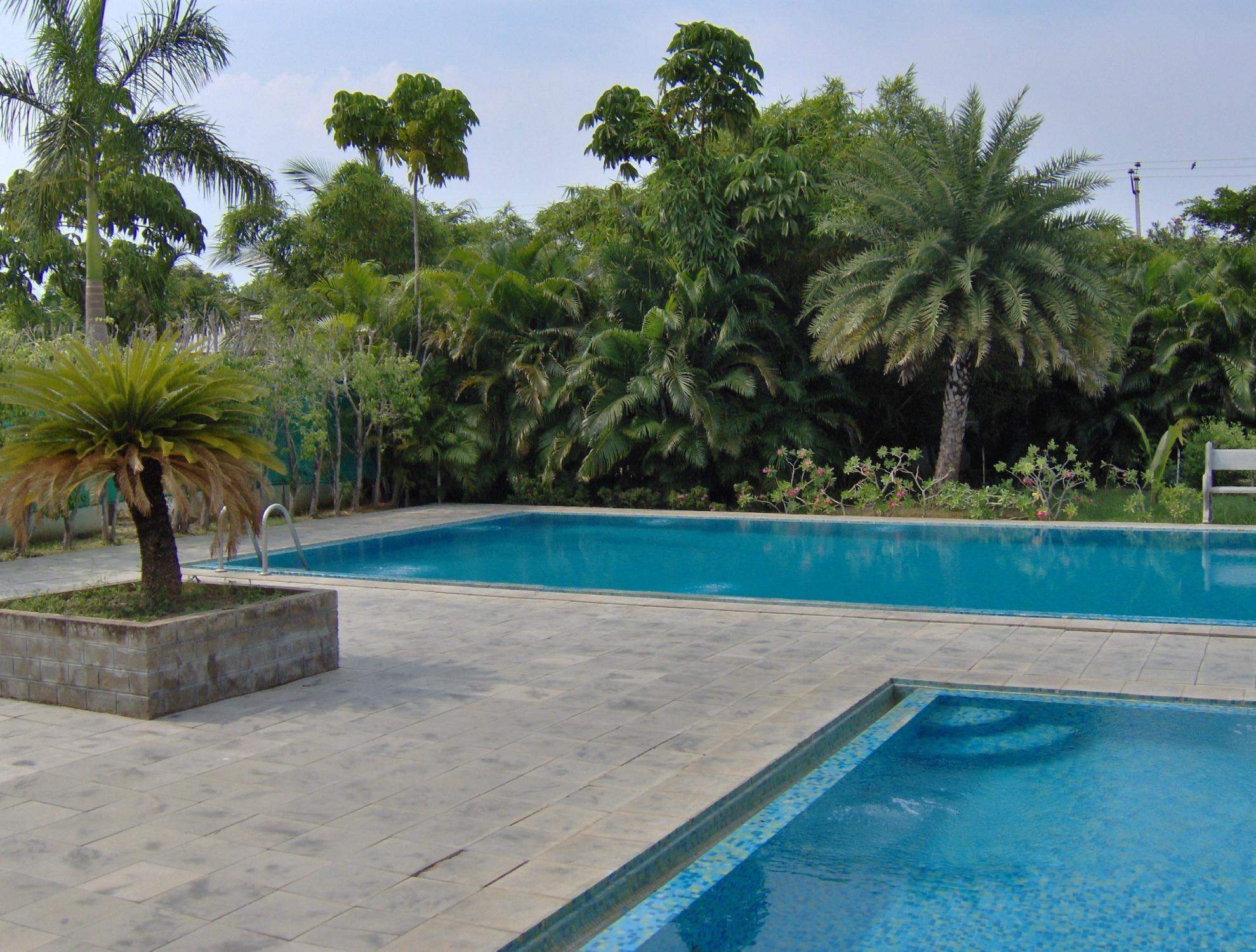 Holidays Farms & Resort-泳池