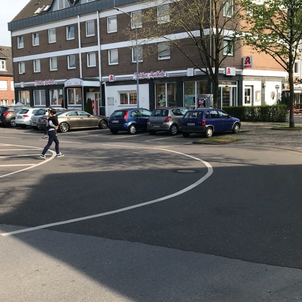 Jan van Werth-官方