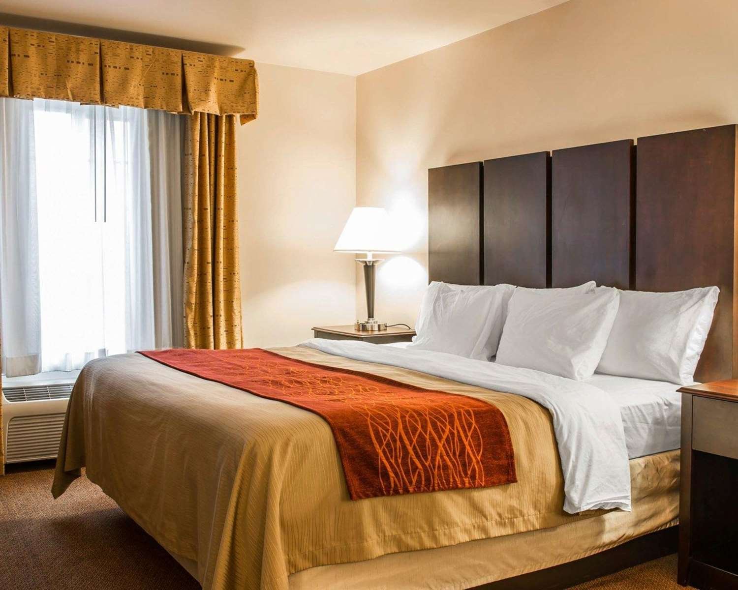 Comfort Inn & Suites-官方