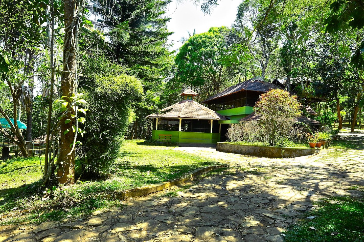Wayanad Blooms-官方