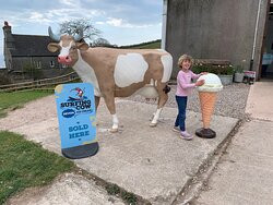 Surfing Cow Gelato-Battisborough Cross必去景点
