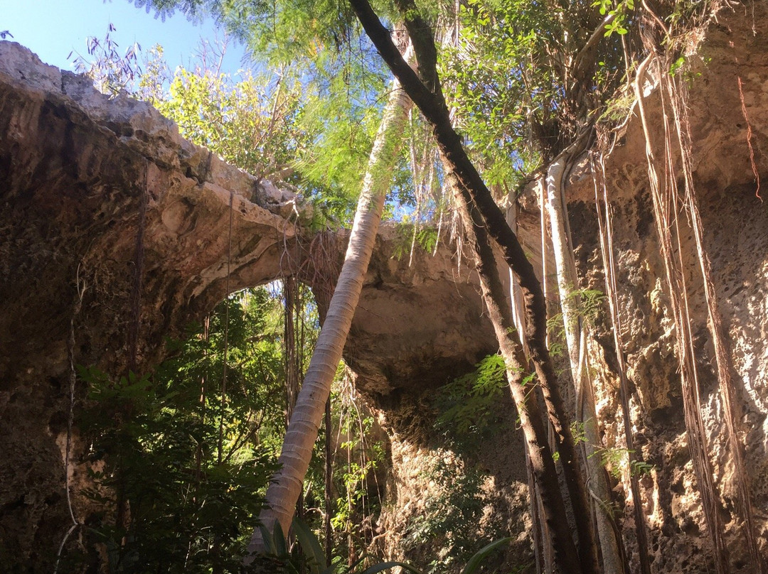 Crooked Island Caves景点图片