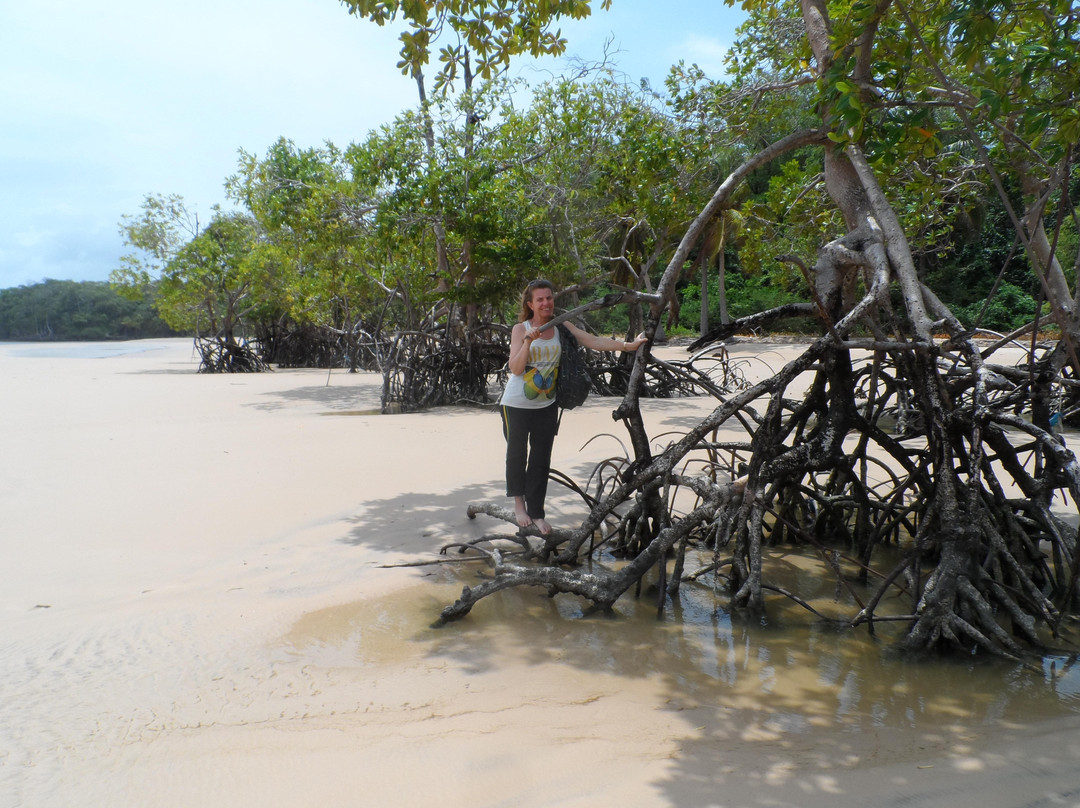 Mata do Bacurizal-Ilha do Marajo必去景点