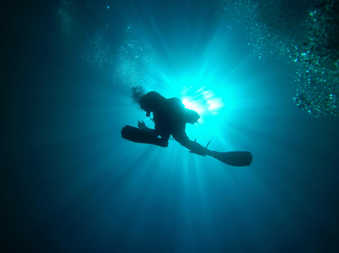 Scuba Dream Diving Centre-Ierapetra必去景点
