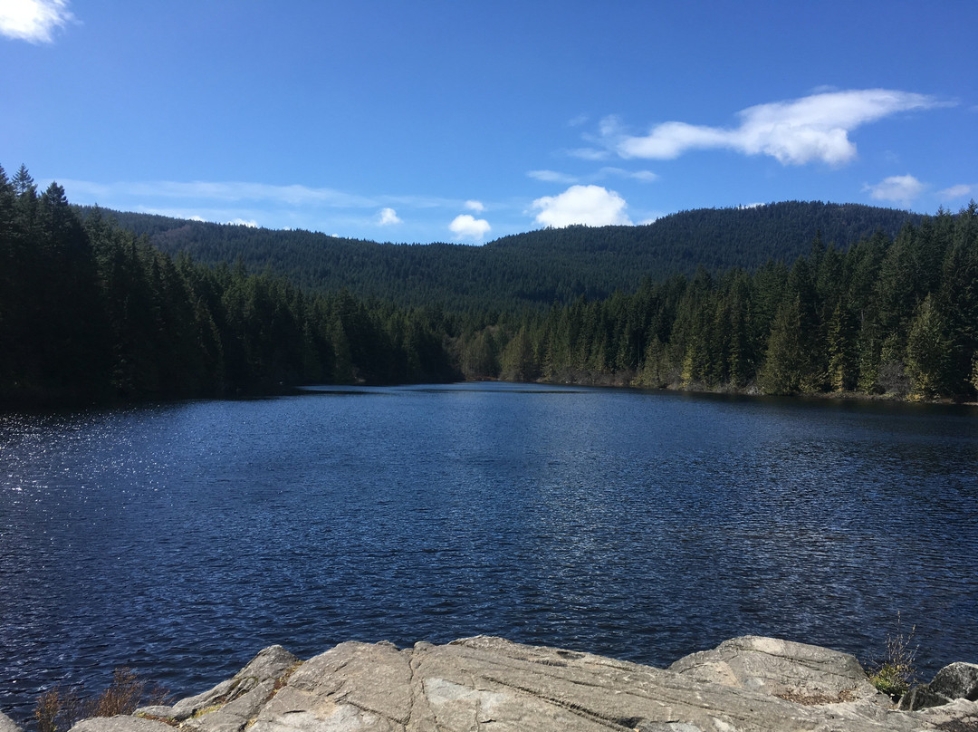 Heart Lake Trail景点图片