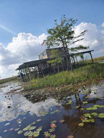 Airboat Rides West Palm Beach景点图片