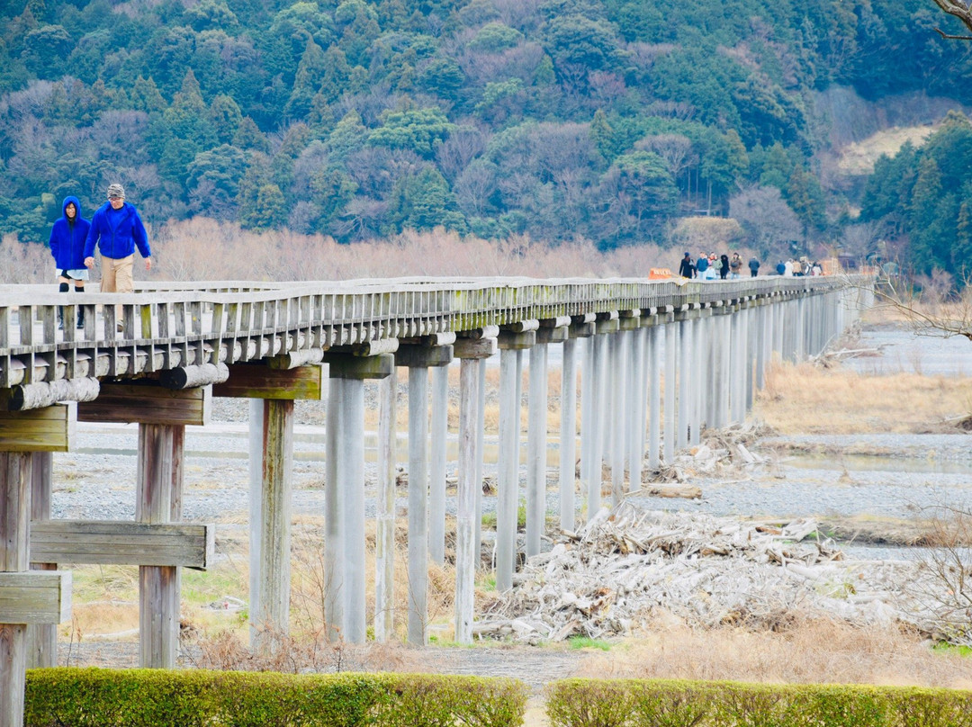 Horaibashi Bridge景点图片