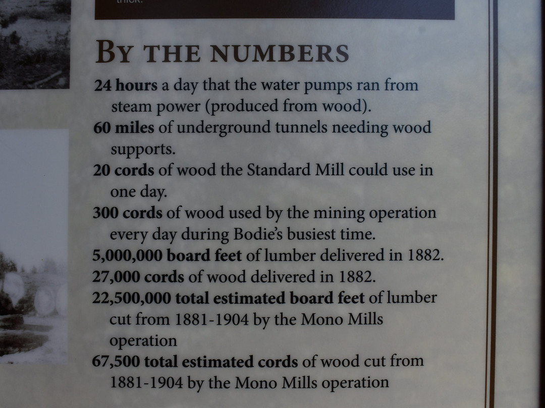 Mono Mills Historic Sit-利韦宁必去景点