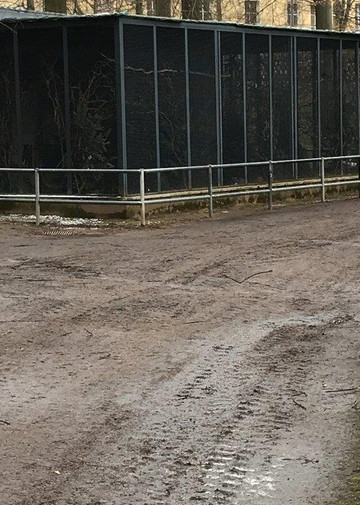 Animal enclosure at the Schwanenteich-米特韦达必去景点