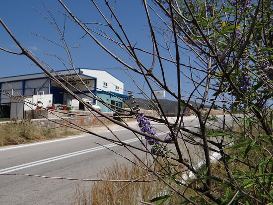 Tyrokomio Katsouli-Koliaki必去景点