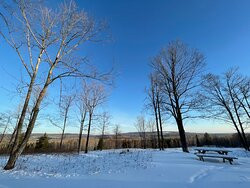 Timber Baron Inn主图